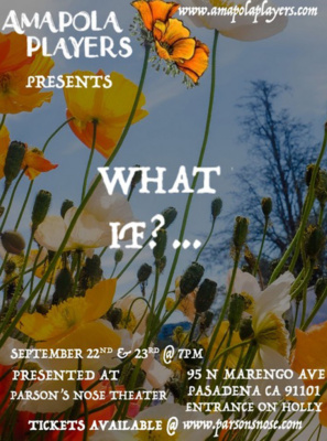 Amapola Players “What If…”